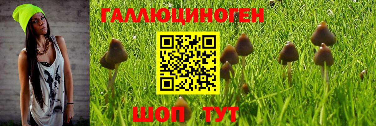 Железногорск  ГАШ  Меф кристаллы  ЭКСТАЗИ  МДМА  МЕФ  Кокаин  Вход с VPN  Канабис 