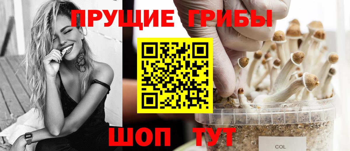 Псилоцибиновые грибы Cubensis  Галлюциногенные грибы Psilocybine cubensis  Железногорск  Вход с VPN 